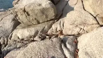 WILD COUPLE HAVING HARDCORE SEX ON PUBLIC BEACH