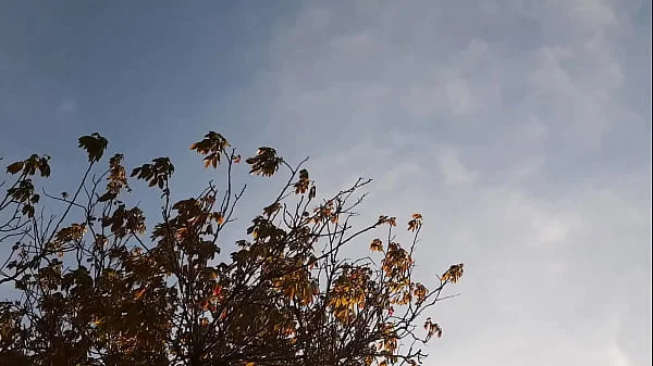 I gave my neighbor flowers, and she thanked me with cunnilingus - Girls fly orgasm