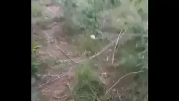 Una rica chupada en el bosque