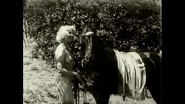 Vintage Taboo, Pussy & Pooch