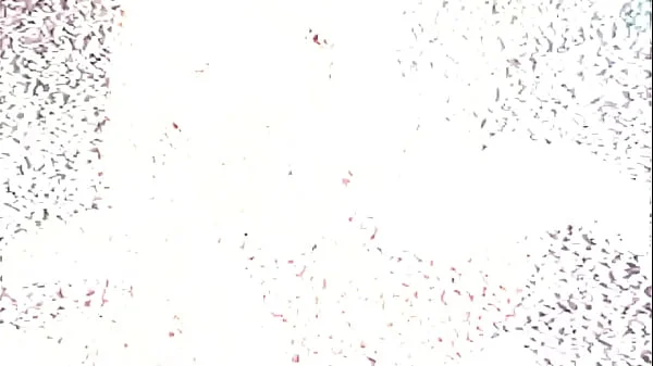 Shimmy Cash presents: Pornstar Bloopers & Fuck Ups #5 - Best Funny Interracial Scene Out Takes