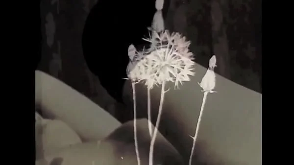 vintage silent films