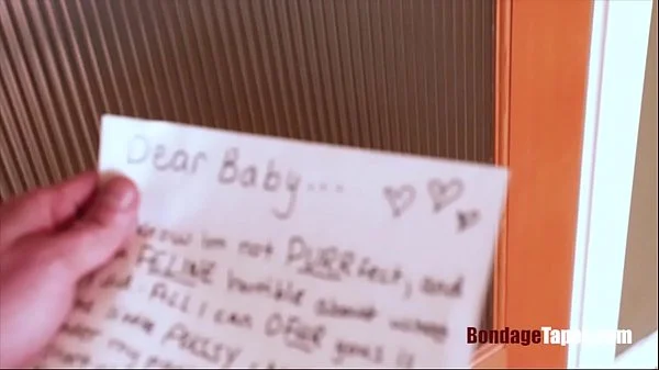 Human pets are so much better - Stephanie West