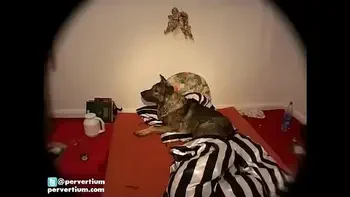 German Whores Piss And Cum Gangbang