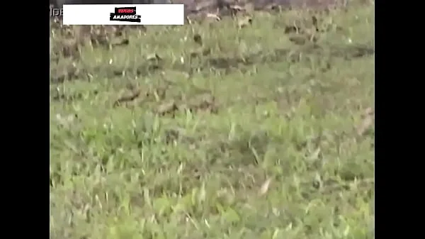 Homem escondido grava vídeo de esposa infiel gemendo e fazendo sexo com jardineiro, em canoa no lago