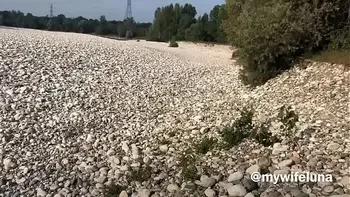 Luna loves getting fucked outdoors it makes her feel sluttier than usual