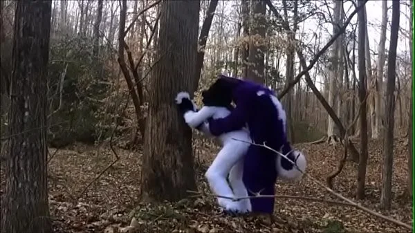 Fursuit Couple Mating in Woods