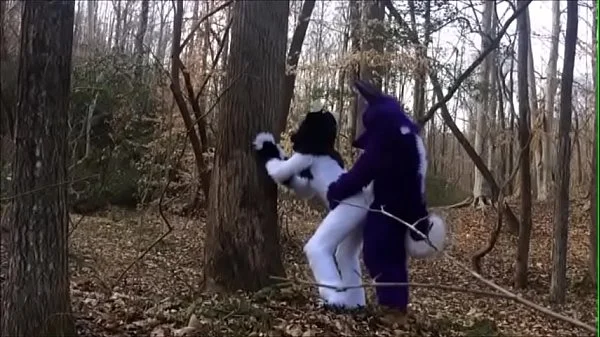 Fursuit Couple Mating in Woods