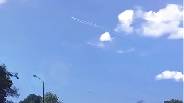 Lifeguard tranformation