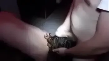 Adult Cinema Swinger