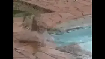 karen meneguel makigoff II