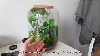 Luna Okko - Appartment Tour - Lunas Journey ( )