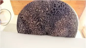 Open Your Mouth I Want You To Drink All My Pee While You Wipe My Ass