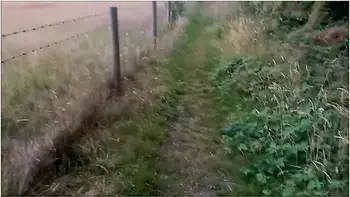 Swallowing Cum Outside In The Countryside