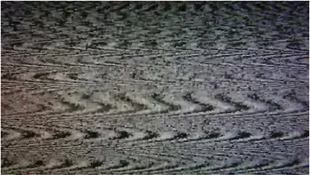 Lacey Lala In Pledge Wants Your Help (and Cock) [trailer]