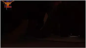 Thot In Texas - Interracial Latino Doggystle Bareback Ebony With Stranger Creampie Cums Inside My Wife No Condom