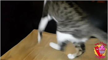 They Masturbate The Milfs Pussy And She Squirts In Pantyhose