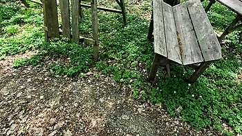 Bouncy Tits Outdoor Slapping - Public BDSM Humiliation & Spanking Session