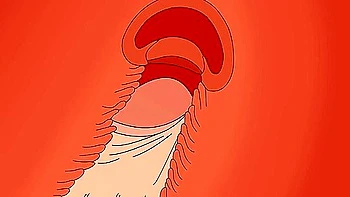 Ken Takakura Okarun Fucks Momo Ayase & Seiko Ayase Dan Da Dan Threesome Hentai Video Meltpuff With Car Toon And Anime Hentai