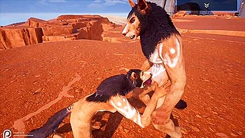 Wild Life - Fox Fucking In The Desert