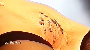 Pleasure For The Mistress