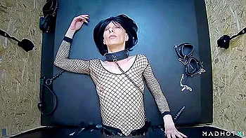 Exciting And Gorgeous - Shell Take Care Of Everything