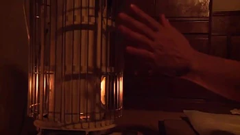 IQA056-RWTTGNXVIR686946796