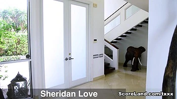 Love & sex - Sheridan Love and Tarzan - Scoreland2