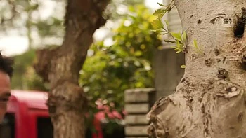 ZPRNYEDHDYMGIWVWRA52SONE530