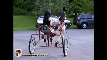 The Red Pony Cart