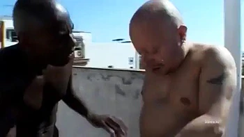 For fun: Blowjob, Doggy  Missonary Porn