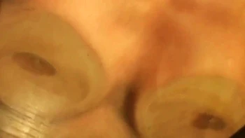 Perfect Pairs Fake Twin Temptation