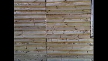 Blonde MILF Nancy Reegan Gets Fucked Happy on Beach - Doggy Style & Blowjob