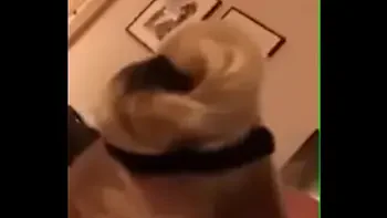 quarantine made my m. finally suck my cock