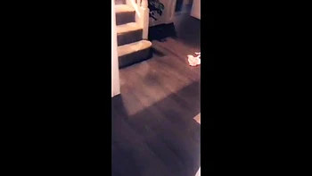 Belle Delphine Truth Or Dare Premium Snapchat