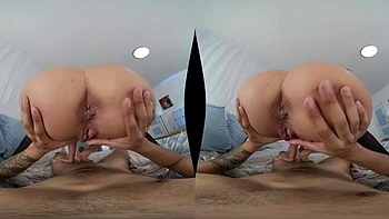 Package VR: Blowjob, Doggy  Cowgirl Porn