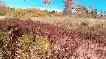 Hana Go To Garden At Apple Tree Drain Water She Very Happy After That