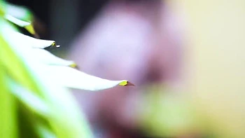 Романтический секс на природе с горячей деси баби