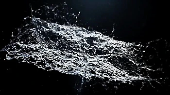 Amateur brunette lesbians pissing and fucking