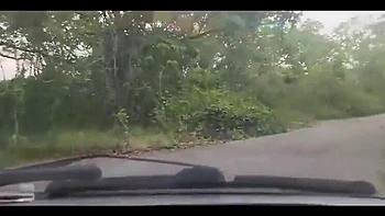 Latina Gets Banged Doggy & BJ in Forest Milk Bath