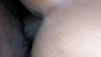 Pussy peluda de amateur india POV
