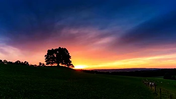 Rubias cachondas meten el puño en la pussy en trío FFM