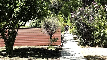 Grooby girls follada anal hardcore con pornstar trans