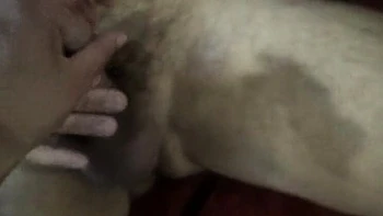 Horny Stepmom Susan Fucks Stepson in Taboo Family Sex