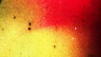 Darla's brunette porn