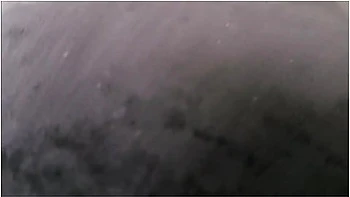 Big Step Sis Moves Into Your Room - Zoey Uso