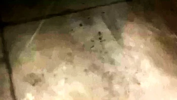 Public Parking Mall Sex With My Boss's Big-Ass Girl